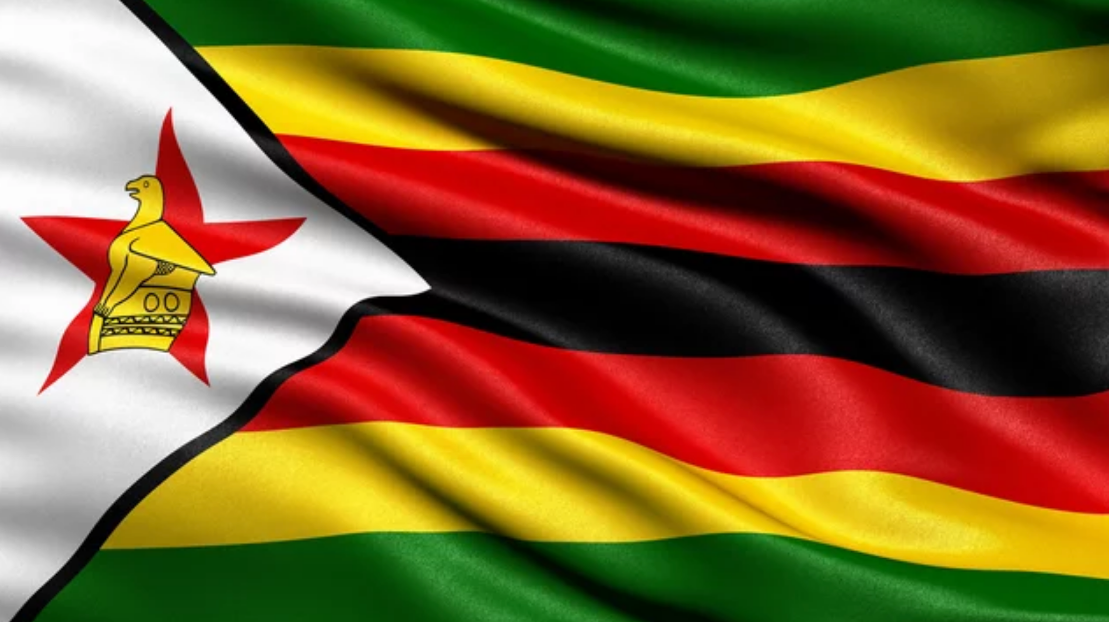 Who will Launch their Gold-Backed Digital Currency first: Zimbabwe or ...